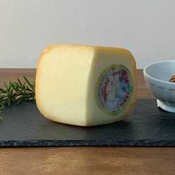 <h5>Halb-Gereifter Toskanische Pecorino-Käse.</h5>