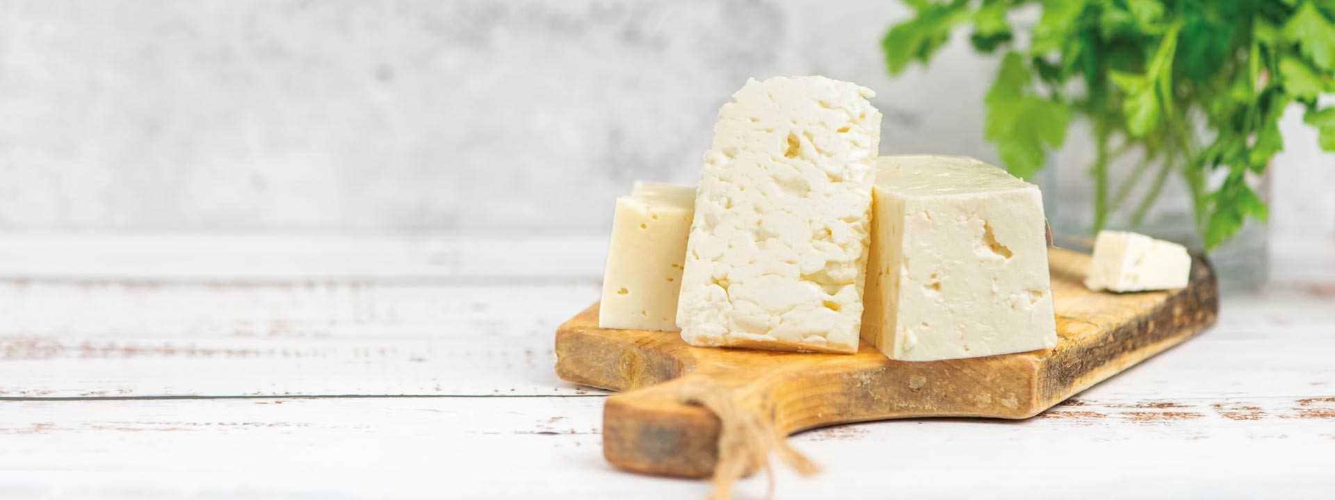 <h2>Tuscan Cheeses</h2>
<p>Discover our selection of artisanal cheeses produced in Tuscany</p>